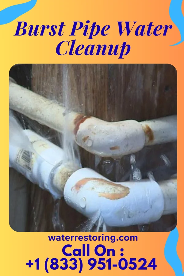 Burst Pipe Water Cleanup in Lynd, MN